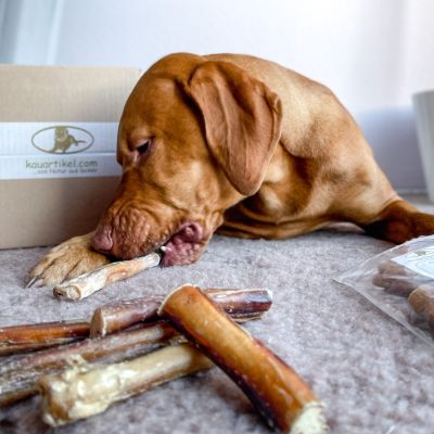 Thumbnail 4: kauartikel.com Ochsen-Ziemer, 12cm - Hunde-Kauartikel - Hunde-Snack - Kausnack vom Ochsen - Leckerli vom Rind