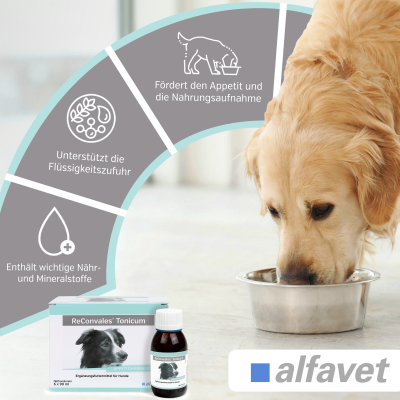 Thumbnail 3: alfavet ReConvales Tonicum Hund 6 x 90 ml