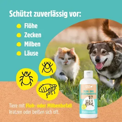 Thumbnail 3: Greenhero Floh- und Zeckenshampoo für Hunde und Katzen