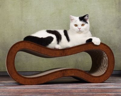 Thumbnail 2: cat-on SINGHA M Design Katzenmöbel, braun antik (002b)