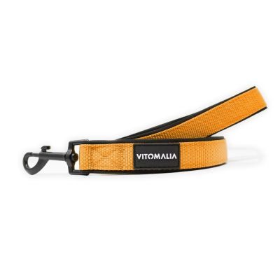 Vitomalia Klassische Führleine Nero Orange