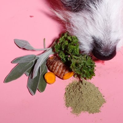 Thumbnail 3: Tierliebhaber Zahnfee Pulver für Hunde - Natürliche Zahnpflege & frischer Atem