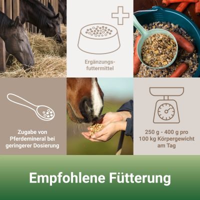 Thumbnail 4: PANTO Pferdemüsli mit Wisan-Lein 15kg