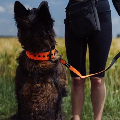 Thumbnail 3: Vitomalia Klassische verstellbare Hundeleine Nero Orange