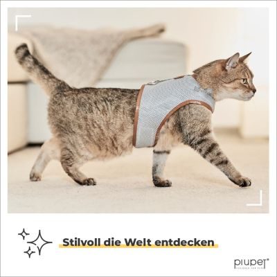 Thumbnail 2: PIUPET Katzengeschirr mit 1,2m Leine I Ausbruchsicher I Katzenleine mit Geschirr für Katzen I Grau (M)