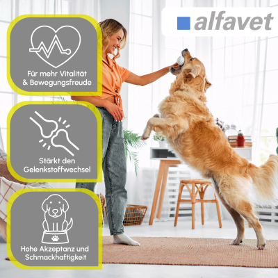 Thumbnail 4: alfavet CaniGum Artrin Riegel 6 x 28 g