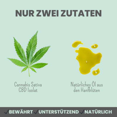 Thumbnail 3: Noms+ 10% CBD Tropfen für Hunde