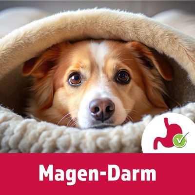 Thumbnail 3: TJURE TJURE - Gastro Tabs 250 g | Für den Gesunden Magen und Darm