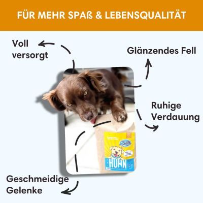 Thumbnail 6: Sollis Hypoallergenes Hundefutter mit Huhn 6 kg