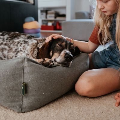 Thumbnail 10: HUNTER Recycling Hundesofa Belluno M (80 x 60 cm), mint