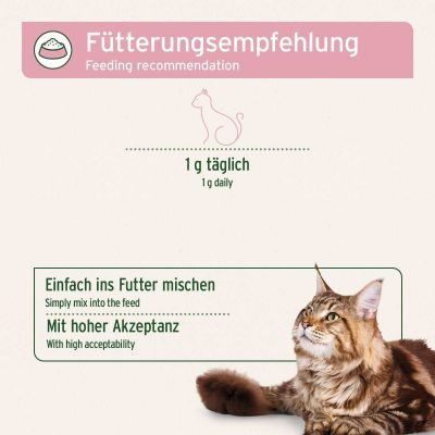 Thumbnail 3: AniForte 4in1 Complete Cat
