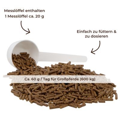 Thumbnail 2: MIGOCKI B-KOMPLEX für Pferde - Nerven, Haut, Muskulatur 3kg