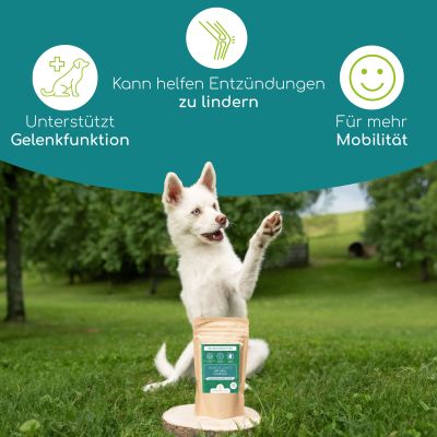 Thumbnail 3: Wolfsbacher Natur Gelenktabletten für Hunde