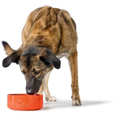 Thumbnail 3: HUNTER Keramik-Napf Osby Glazed350 ml, orange