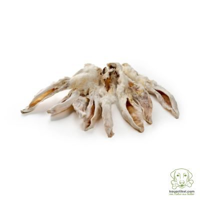 Thumbnail 4: kauartikel.com Kaninchen-Ohren mit Fell Premium Qualität - Hunde-Kauartikel - Hunde-Snack - Hypoallergen-Kausnack - Hasen-Leckerli