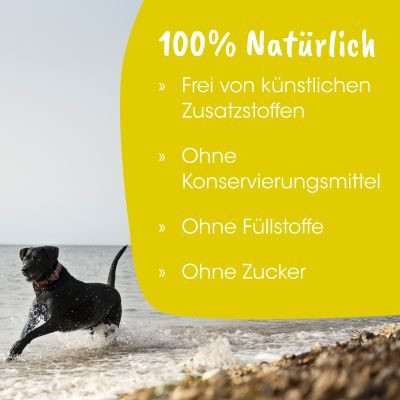 Thumbnail 3: petGelato HappyApple 132 g – Erfrischender Eisgenuss für Hunde, Katzen & Pferde