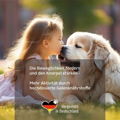 Thumbnail 1: TJURE TJURE - Gelenk Tabs 250 g | Reduziert Gelenkprobleme | fördert Gelenkgesundheit