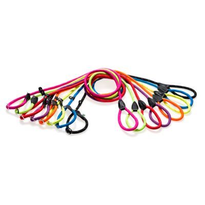 Thumbnail 2: dogogo Retrieverleine rund Neongelb