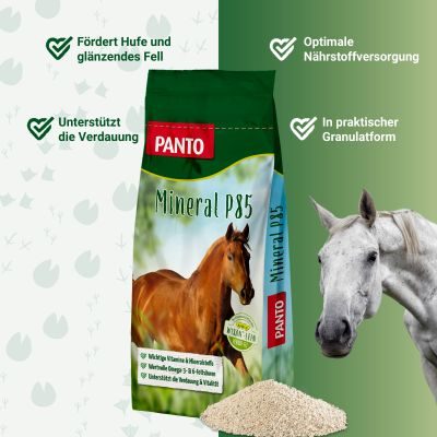 Thumbnail 2: PANTO Mineral P85 25kg