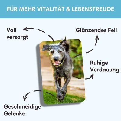 Thumbnail 6: Sollis Hypoallergenes Hundefutter mit Ente 12 kg