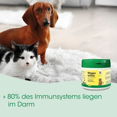 Thumbnail 3: cdVet Magenschutz 200 g – Natürliche Unterstützung für Magen und Schleimhäute