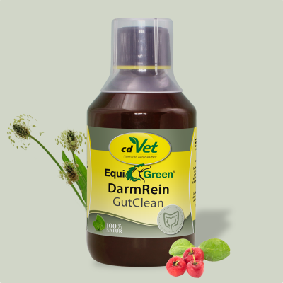 Thumbnail 2: cdVet EquiGreen DarmRein 250 ml – Natürliche Unterstützung für die Darmbalance bei Pferden