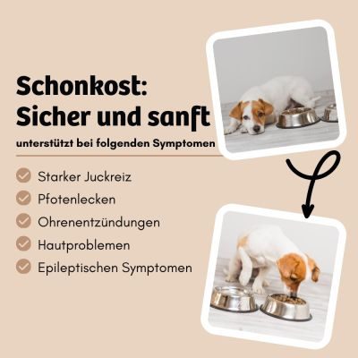 Thumbnail 7: BugBell Weiche Hundeleckerli für Hunde bei Allergien