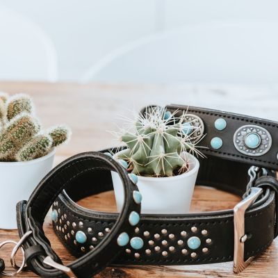 Thumbnail 6: HUNTER Halsband Sioux M-L (60), schwarz