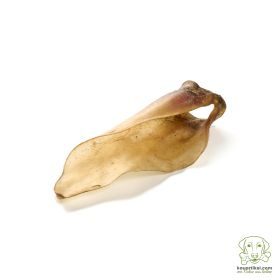 kauartikel.com Kalbs-Ohren Gr. M mit Muschelansatz - Hunde-Kauartikel - Hunde-Snack - Kausnack - Kälber-Leckerli  (Rind)