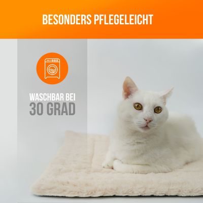 Thumbnail 8: SCHLITZOHR Katzendecke Minka