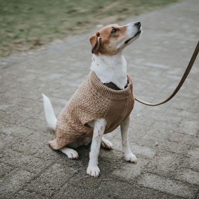 Thumbnail 8: HUNTER Hundepullover Malmö 40, beige