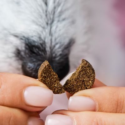 Thumbnail 6: Tierliebhaber Gras und Kotfresser Drops für Hunde - Natürliche Hilfe bei Sodbrennen sowie Gras- und Kotfressen