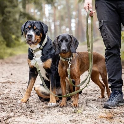 Thumbnail 5: Rudelkönig Hundeleine Gepolsterte Hundeleine Bella, Verstellbare Führleine 2,30m