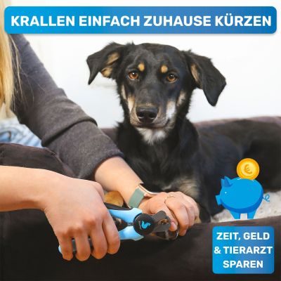 Thumbnail 8: BluePet Krallenschere mit Schutzplatte für kleine & große Hunde & Katzen I Einsteigerfreundlich I Krallenzange auch für Anfänger