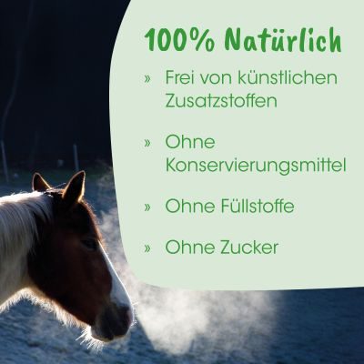 Thumbnail 5: cdVet HustaVet BronchialVital 100 ml