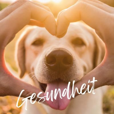 Thumbnail 5: TJURE TJURE - Gastro Liquid - 500 ml | Ursachenbekämpfung bei Durchfall | unterstützt die Verdauung