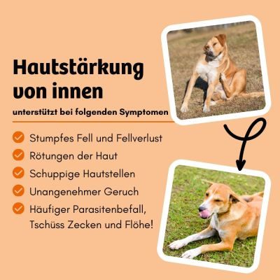 Thumbnail 3: BugBell Veganes Topping Hautpflege