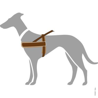Thumbnail 2: HUNTER Norwegergeschirr Racing L, braun