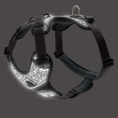 Thumbnail 2: HUNTER Geschirr Divo Reflect S, schwarz/grau