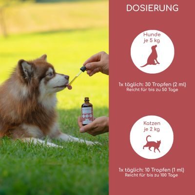 Thumbnail 4: Wolfsbacher Natur Bio Barf-Öl 100ml