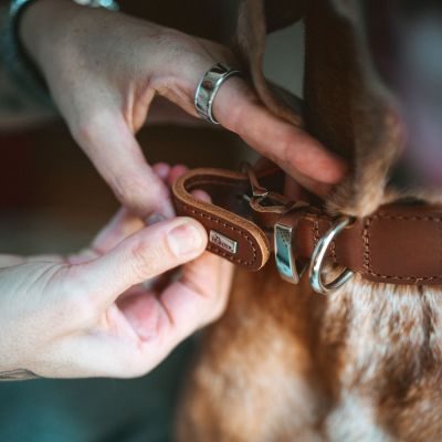 Thumbnail 9: HUNTER Ergonomisches Halsband Arvika S (40), cognac/schwarz