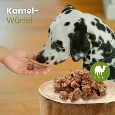 Thumbnail 3: kauartikel.com Kamel-Würfel - hypoallergener Hunde-Kauartikel - Hunde-Snack - Kausnack - Leckerli - Trainingssnack