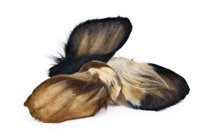 Thumbnail 3: Kaureks Natur Hundeleckerlies Rinderohren mit Fell und Muschel  20 Stk