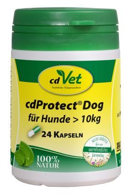 cdVet cdProtect Dog >10 kg, 24 Kapseln – Natürliche Unterstützung für das Darmmilieu von Hunden