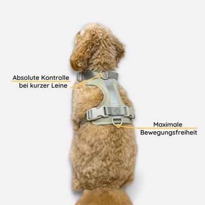 Thumbnail 3: Neo Animal Anti-Zug Hundegeschirr Pura - Hellgrau / XS