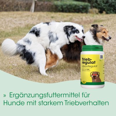 Thumbnail 2: cdVet TriebRegulat 300 g – Natürliche Fütterung in hormonellen Phasen bei Rüden