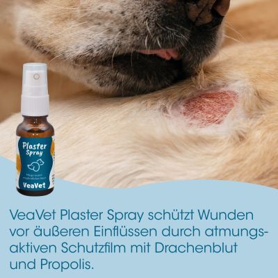 Thumbnail 2: cdVet VeaVet PlasterSpray 20 ml – Natürlicher Schutzfilm für geschädigte Haut