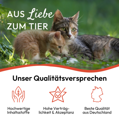 Thumbnail 7: PHA PetVet - PHA Spot-onTropfen für Katzen 2 x 1,5 ml - Parasitenschutz - zur äußerlichen Anwendung