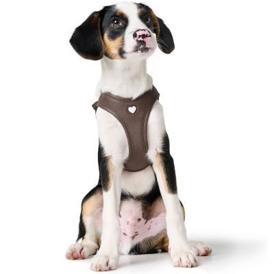 Thumbnail 8: HUNTER Geschirr Love XXS-XS, braun