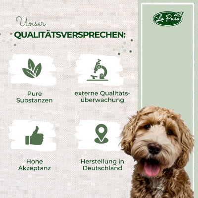 Thumbnail 3: LaPura PetVet - LaPura Grünlippmuschelpulver 250 g - Einzelfuttermittel für Hunde und Katzen - Nahrungsergänzung - Futterergänzung - BARF-Zusatz